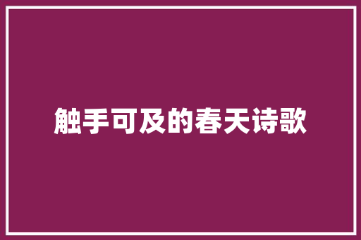 恒大新能源车,品质与性能的完美融合，引领绿色出行新潮流