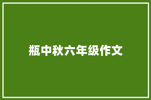 新能源车用不完电的解决方法,优化充电步骤与技术创新