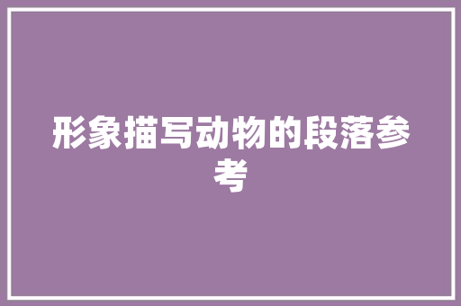 小型铃木二手车经济实惠，品质可靠的选择