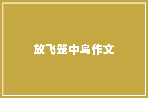 装修师傅的选择,打造温馨家居的得力助手